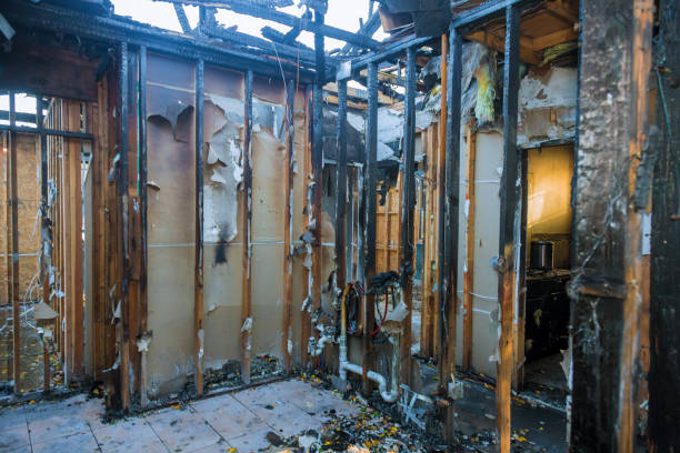 Professional Fire Damage Removal technician working in Victoria, MN