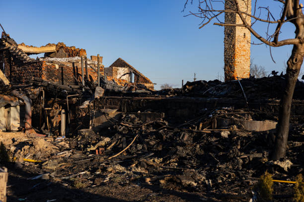 Reliable Fire Damage Removal contractor in Victoria, MN by Fire Damage Doption