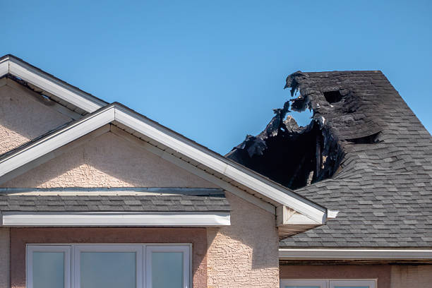 Top rated local Fire Damage Removal specialists in Victoria, MN